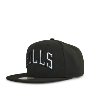 Bulls Iridescent Wordmark Snapback