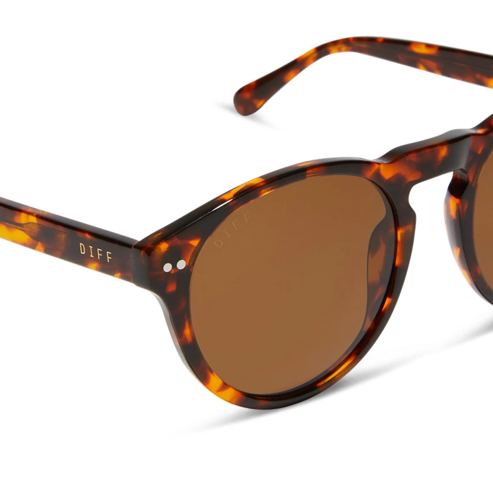CODY XL - RICH TORTOISE   BROWN   POLARIZED SUNGLASSES
