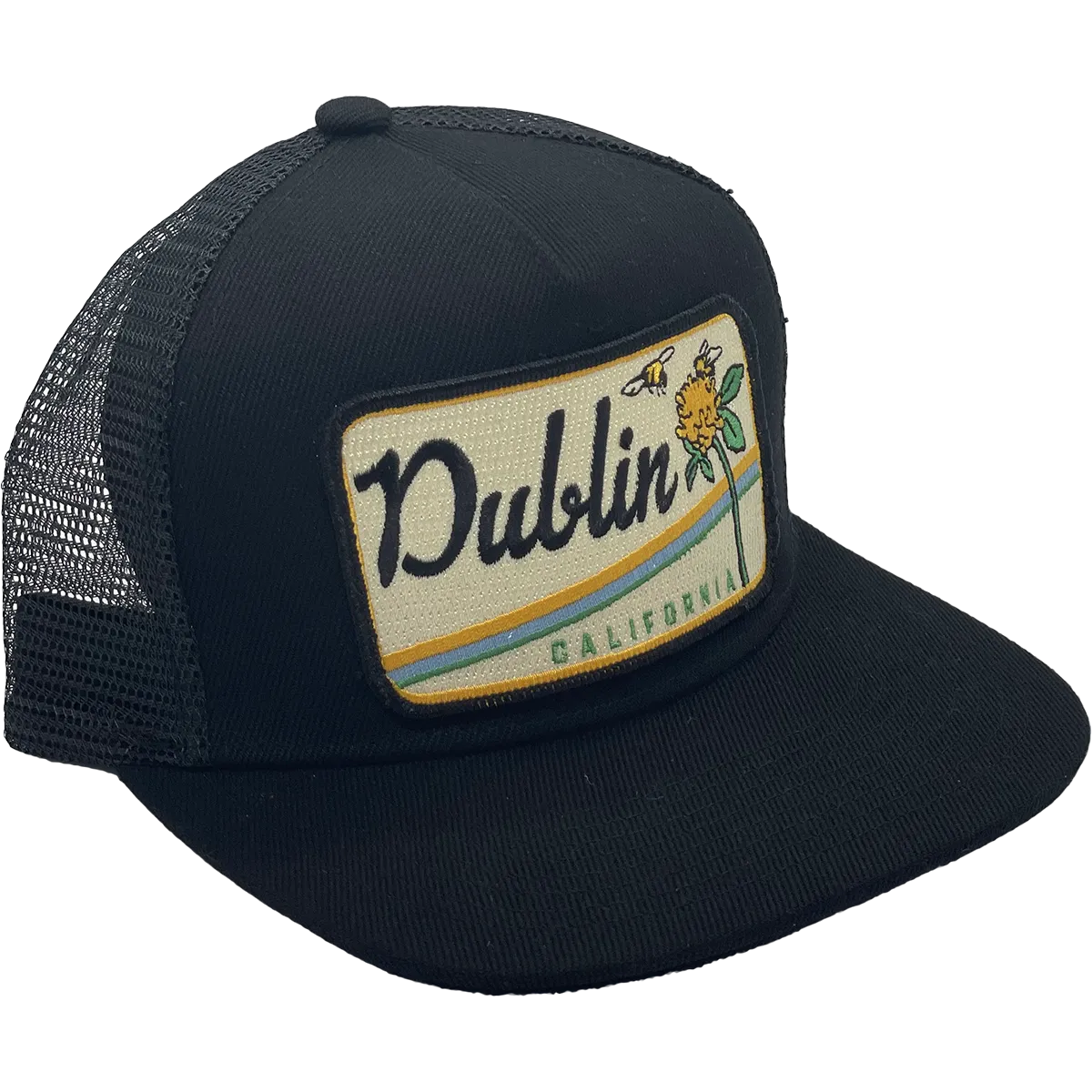 Dublin Trucker