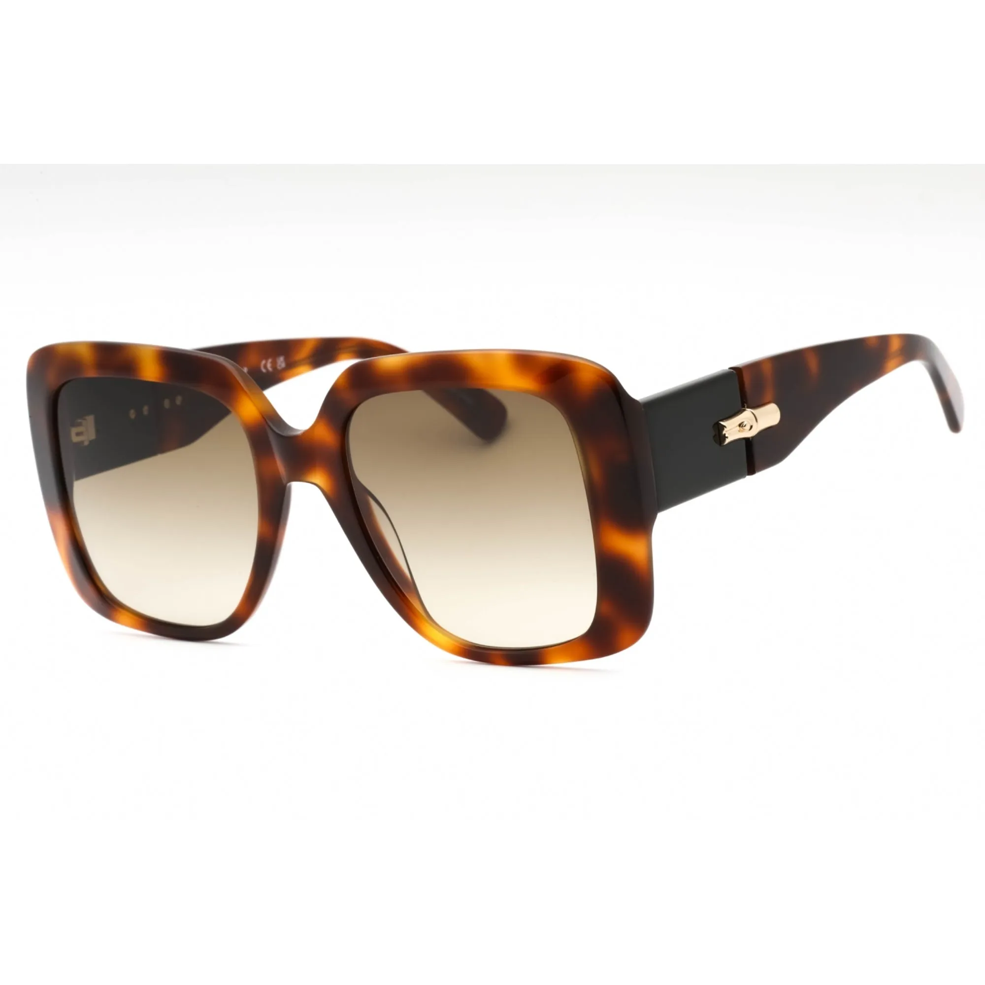 Longchamp Women's Sunglasses - Havana Plastic Oversized Full Rim Frame | LO713S 230
