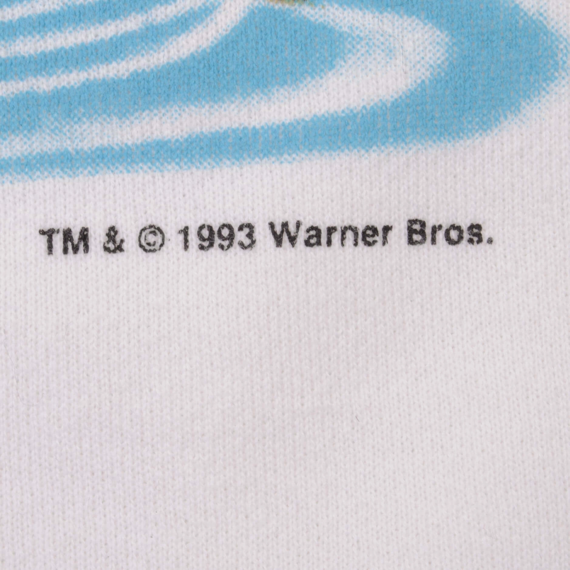 VINTAGE LOONEY TUNES TAZ FISHING SWEATSHIRT 1993 SIZE XL